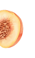 Peach Please asset 1